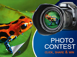 Color Copy Photocontest